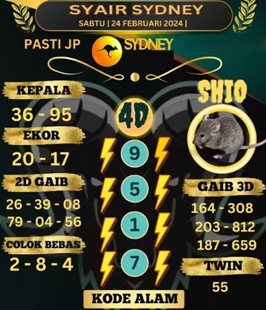 SYAIR SDY VIP