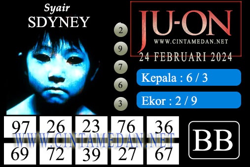 SYAIR SDY VIP