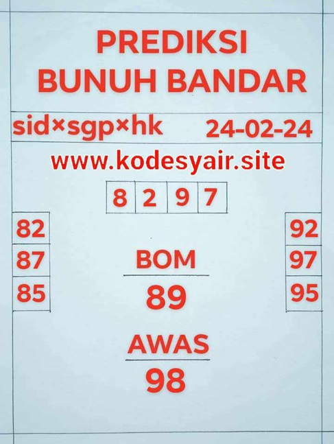SYAIR SDY VIP