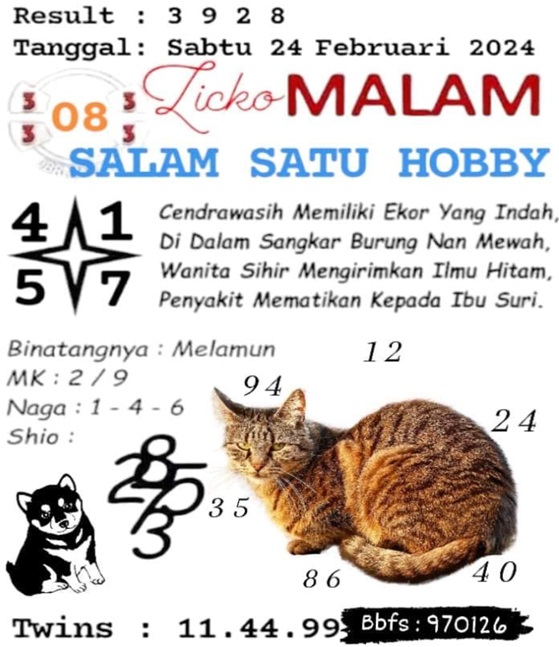 SYAIR SDY VIP