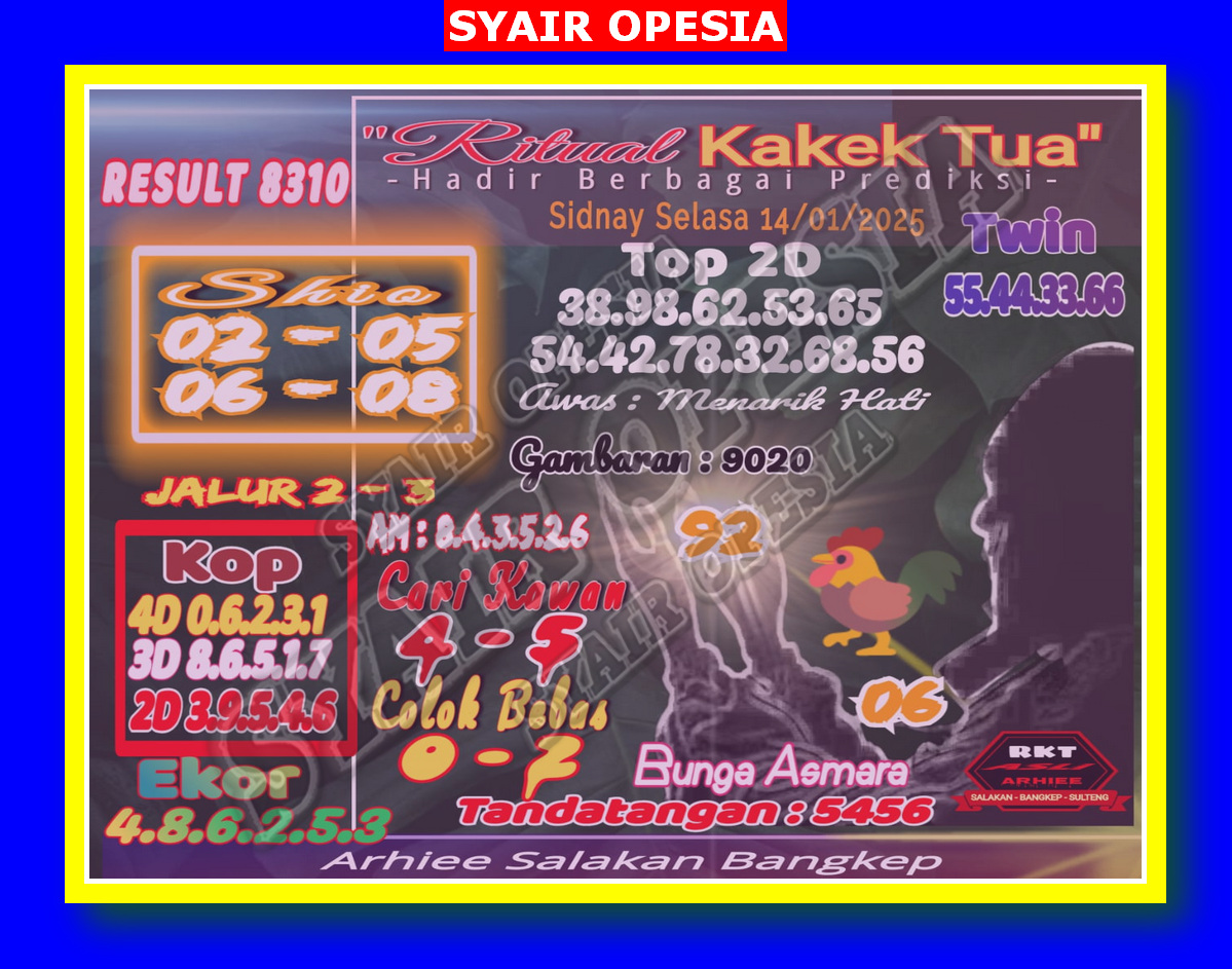 SYAIR SDY VIP