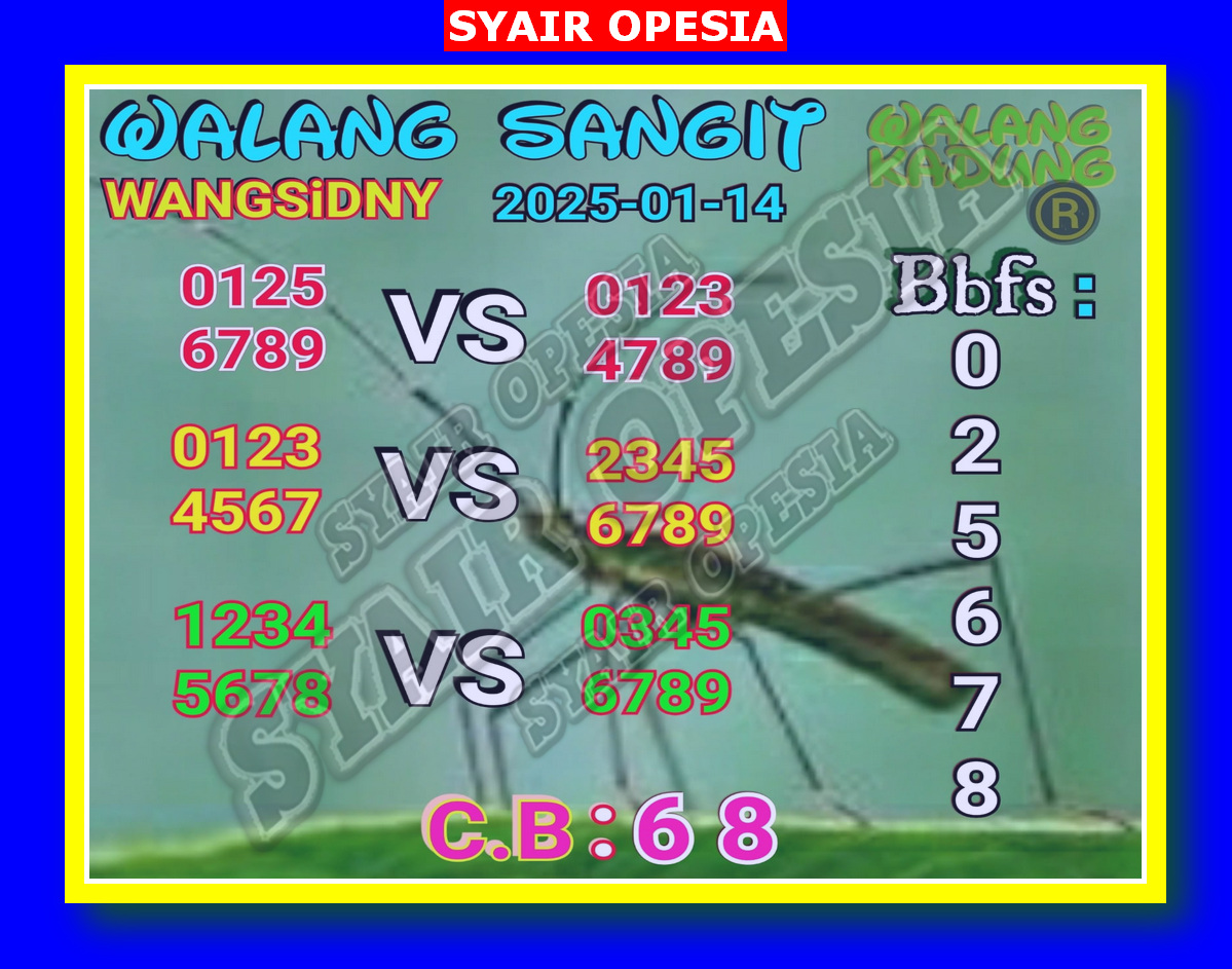 SYAIR SDY VIP