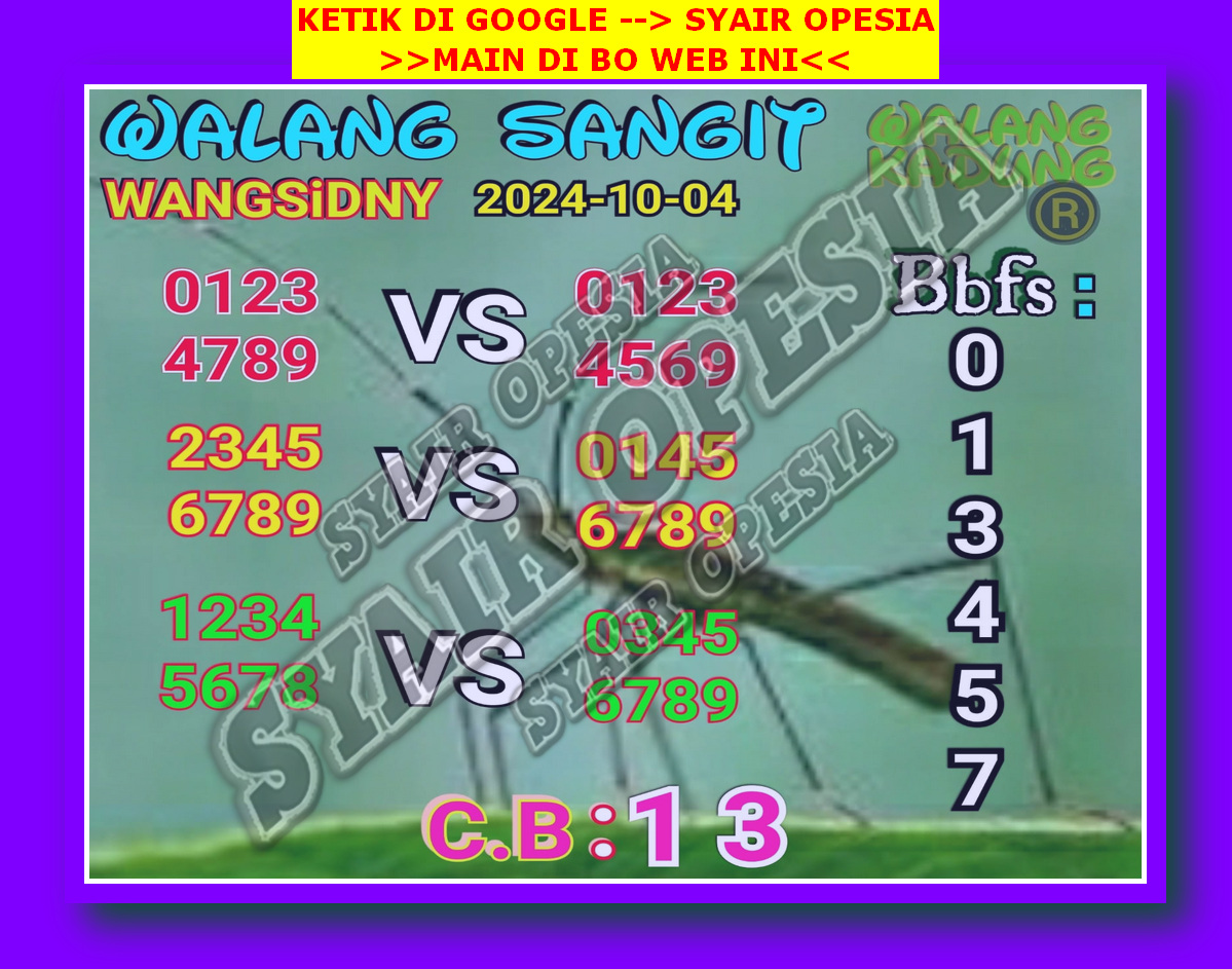 SYAIR SDY VIP