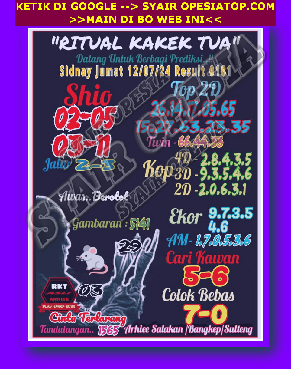 SYAIR SDY VIP