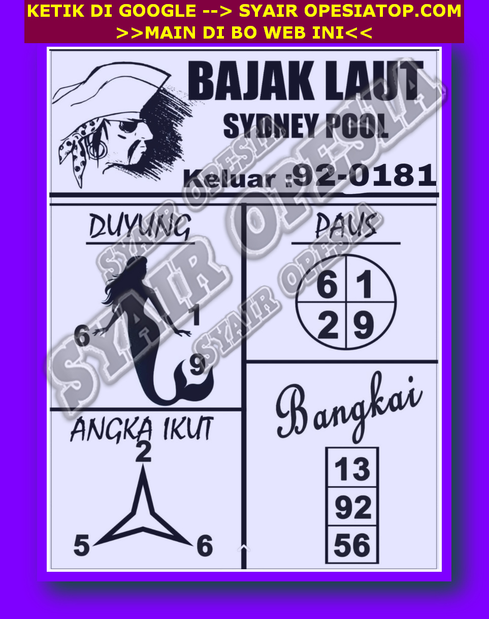 SYAIR SDY VIP