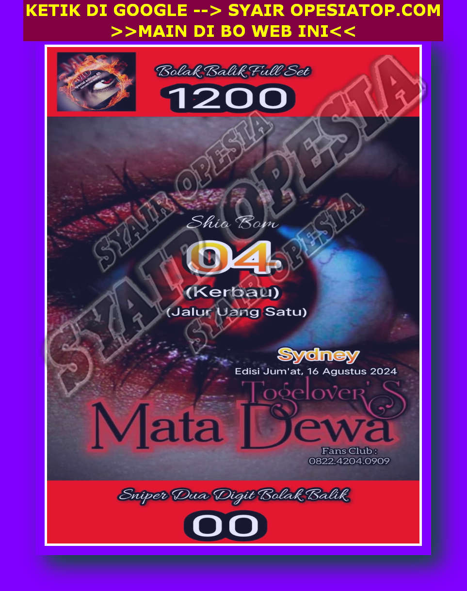 SYAIR SDY VIP