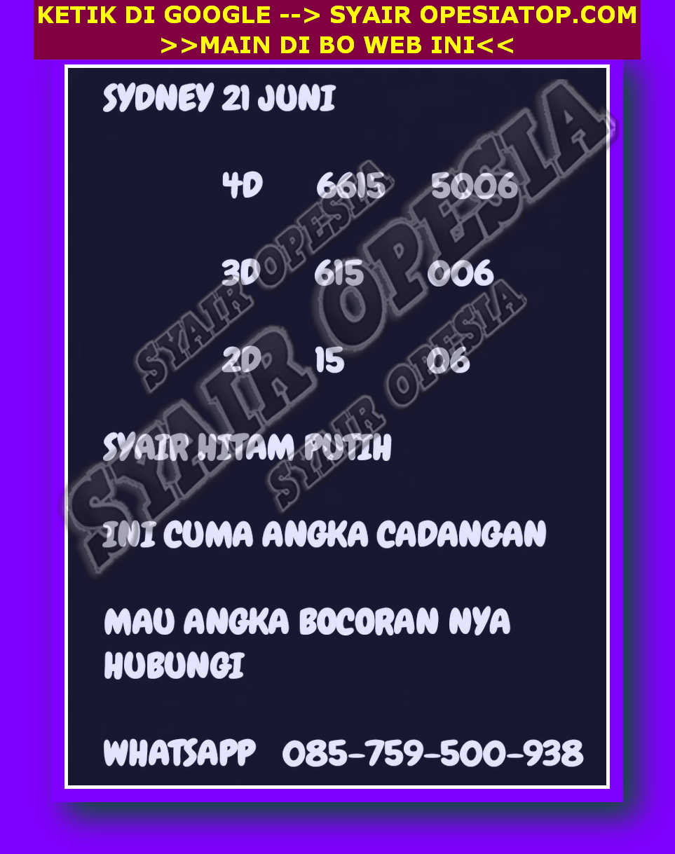 SYAIR SDY VIP