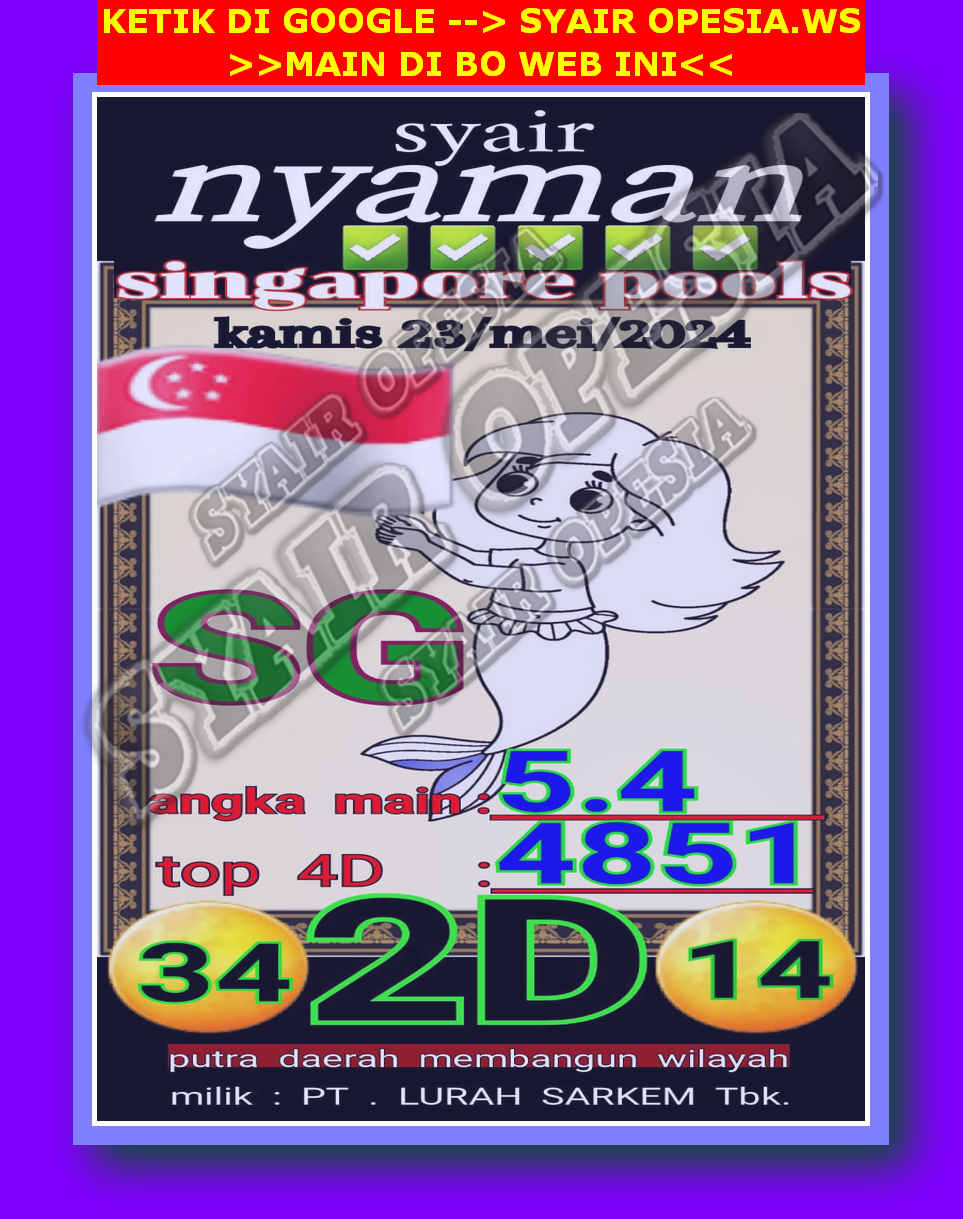 SYAIR SGP VIP