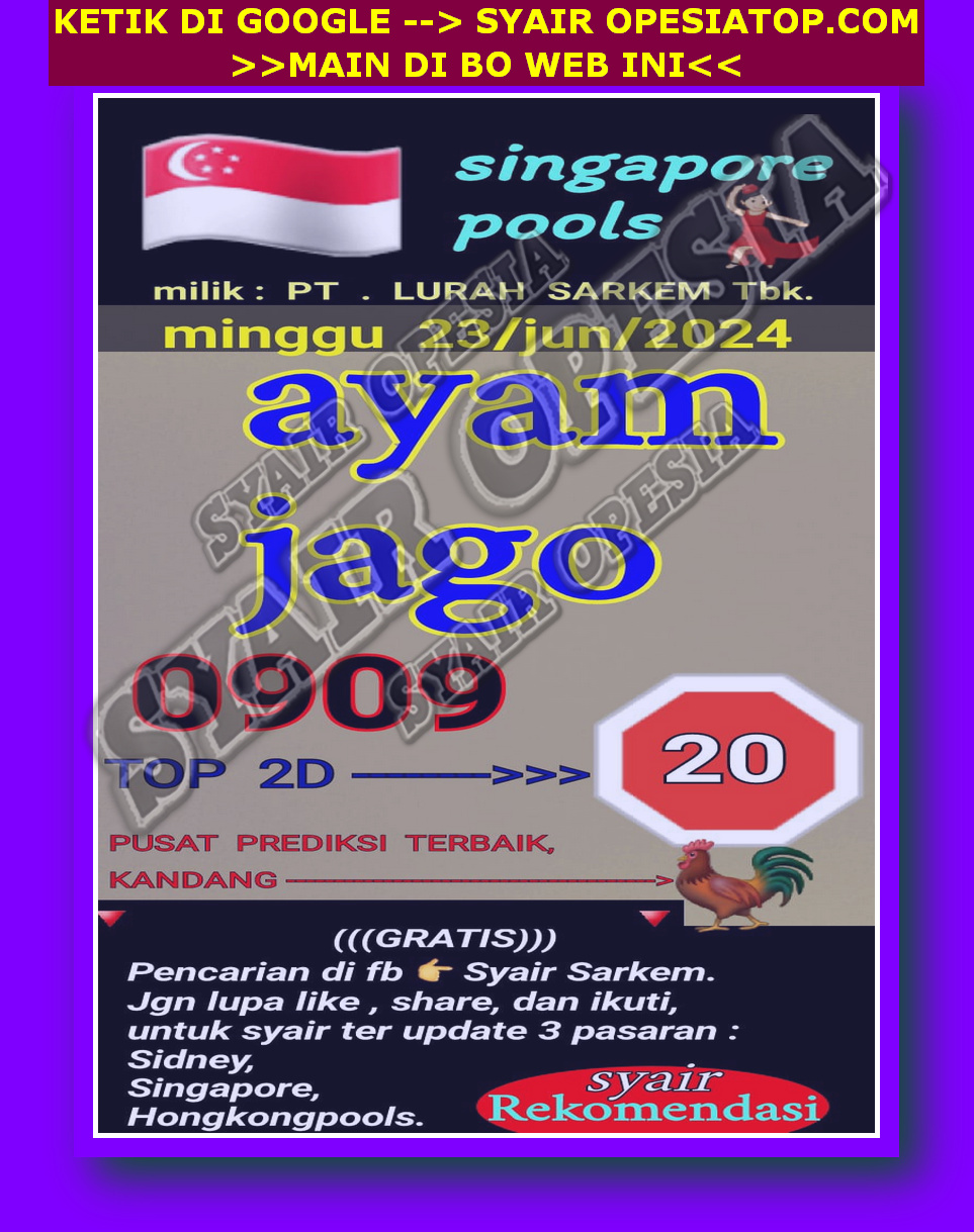 SYAIR SGP VIP