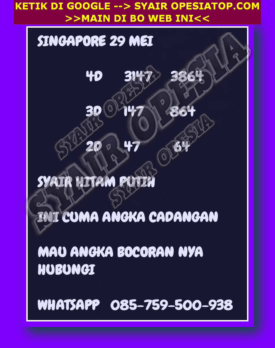 SYAIR SGP VIP