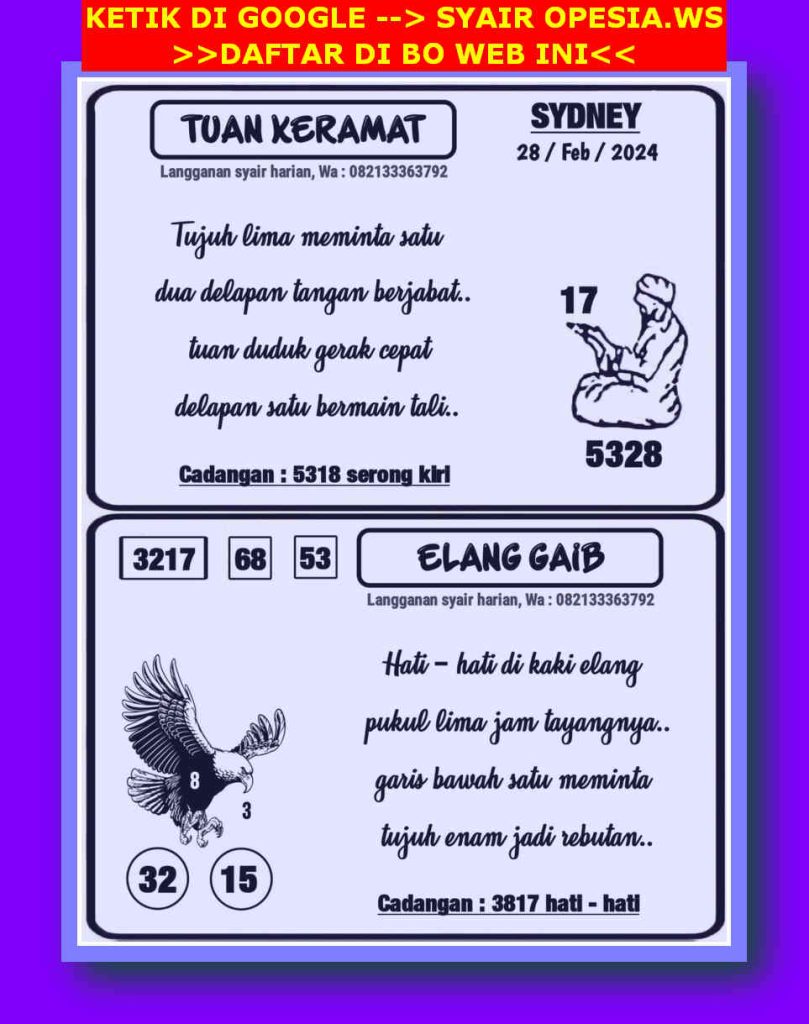 SYAIR SDY VIP